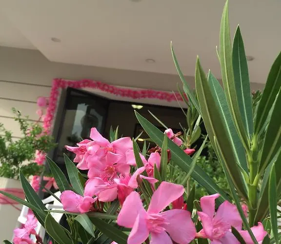 Cosmopolita 호텔 2*