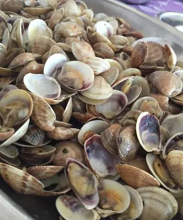 Cosmopolita Hotel 2*