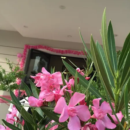 Cosmopolita מלון 2*