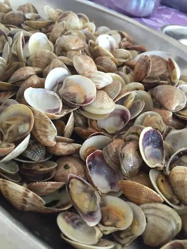 Cosmopolita Hotel 2*